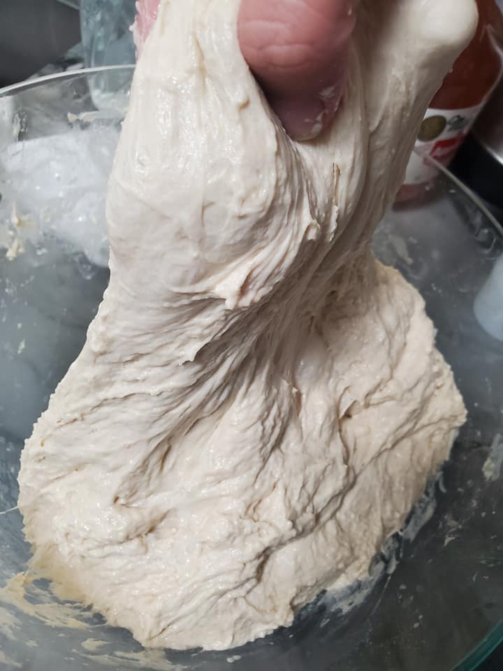 Sour Dough Starter